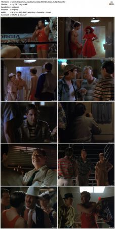 Quantum Leap S03 1080p WEB-DL DD20 H264-Mooi