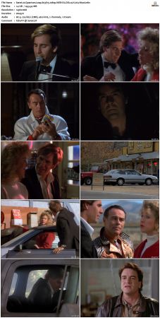 Quantum Leap S03 1080p WEB-DL DD20 H264-Mooi