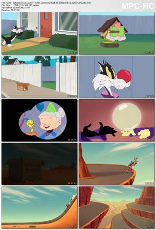 Looney Tunes Cartoons S03 1080p x265-MeGusta