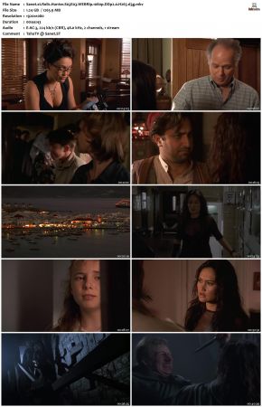 Relic Hunter S03 1080p WEBRip DDP2.0 H265-d3g