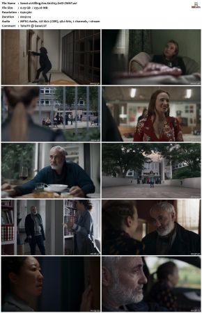 Killing Eve S02 XviD-ZMNT