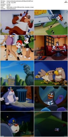 Animaniacs 1993 S01 DVDRip XviD-SAiNTS