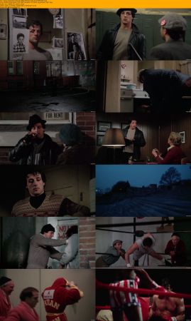 Rocky Collection 1080p BluRay H264 AC3-Will1869