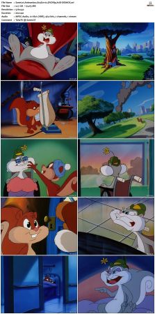 Animaniacs 1993 S04 DVDRip XviD-DEiMOS