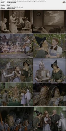 The Wizard Of Oz 1939 MULTI 1080p BluRay HEVC x265 HDR 10BIT 5.1 BONE