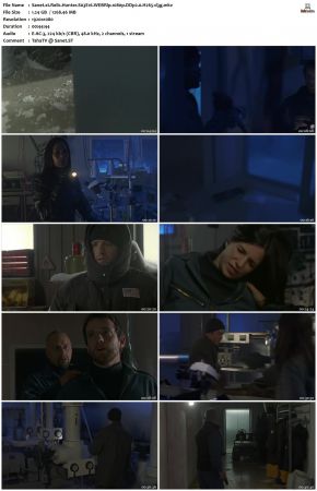 Relic Hunter S03 1080p WEBRip DDP2.0 H265-d3g