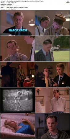Quantum Leap S02 1080p WEB-DL AAC2.0 H264-TVV