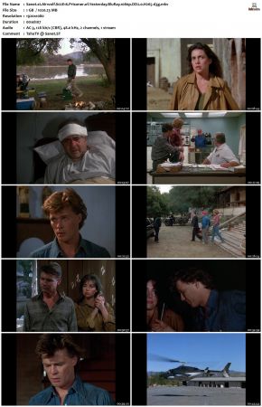 Airwolf S02 1080p BluRay DD2.0 H265-d3g
