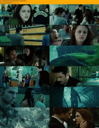 The Twilight Saga Collection 1080p H264 AC3-Will1869