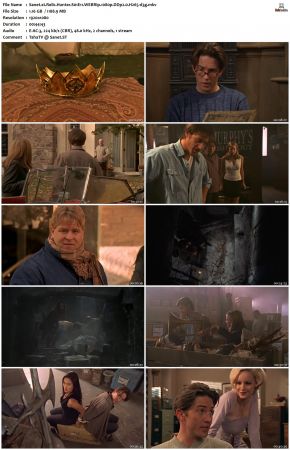 Relic Hunter S01 1080p WEBRip DDP2.0 H265-d3g