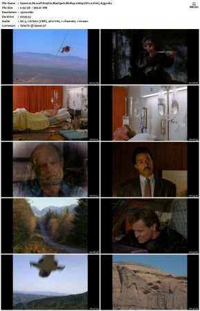 Airwolf S04 1080p BluRay DD2.0 H265-d3g