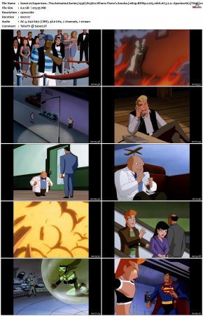 Superman The Animated Series S03 1080p BDRip x265 10bit AC3 2.0 Species180 TAoE
