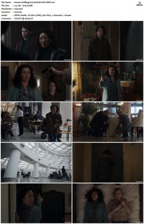 Killing Eve S01 XviD-ZMNT