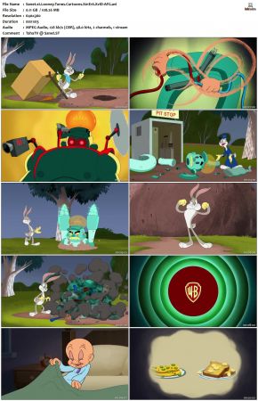 Looney Tunes Cartoons S01 REPACK XviD-AFG