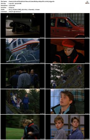 Airwolf S04 1080p BluRay DD2.0 H265-d3g