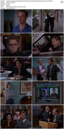 Honey I Shrunk The Kids S03 480p PLAY WEB-DL AAC2 0 H264-CRFW
