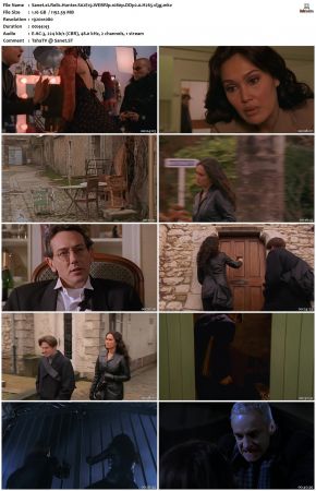 Relic Hunter S02 1080p WEBRip DDP2.0 H265-d3g