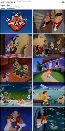 Animaniacs 1993 S01 DVDRip XviD-SAiNTS
