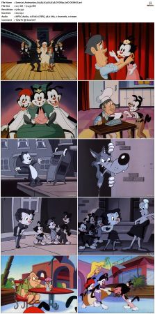 Animaniacs 1993 S03 DVDRip XviD-SAiNTS