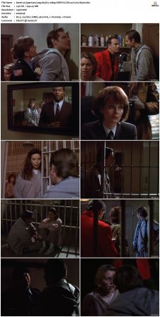 Quantum Leap S05 1080p WEB-DL DD2 0 H264-Mooi