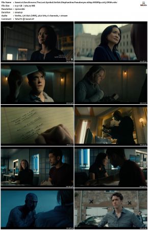 Dan Browns The Lost Symbol S01 1080p WEBRip x265-DRM1