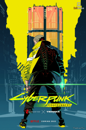 Cyberpunk Edgerunners S01 REPACK 1080p NF WEB-DL MULTI DDP5.1 H264-FLUX