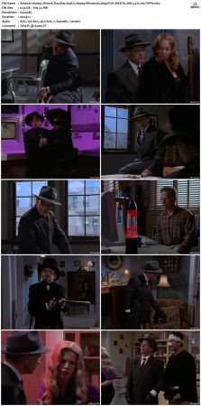 Honey I Shrunk The Kids S03 480p PLAY WEB-DL AAC2 0 H264-CRFW