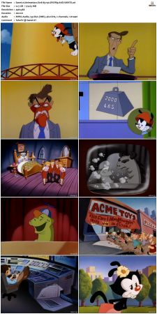 Animaniacs 1993 S01 DVDRip XviD-SAiNTS