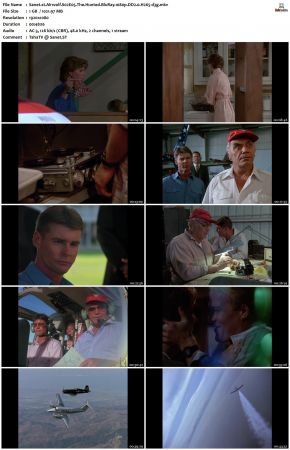 Airwolf S02 1080p BluRay DD2.0 H265-d3g