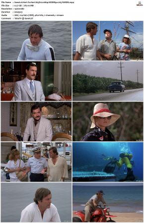 Hart To Hart S03 1080p WEBRip x265-RARBG