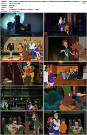Scooby-Doo And Guess Who S02 1080p WEBRip x265 10bit Goki TAoE