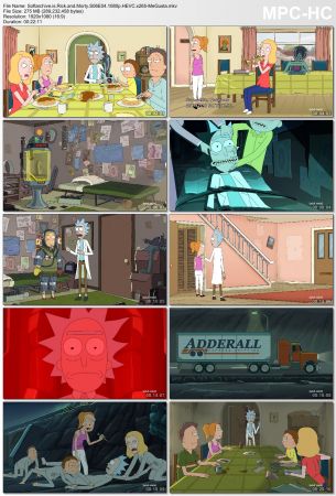 Rick and Morty S06E04 1080p HEVC x265-MeGusta