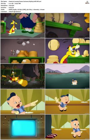 Looney Tunes Cartoons S03 XviD-AFG