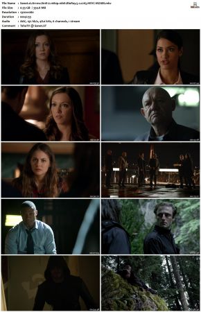 Arrow S01 1080p 10bit BluRay x265 HEVC-MZABI