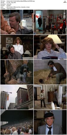 Hart To Hart S03 1080p WEBRip x265-RARBG