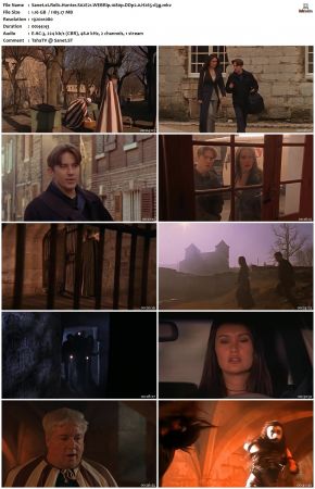 Relic Hunter S02 1080p WEBRip DDP2.0 H265-d3g