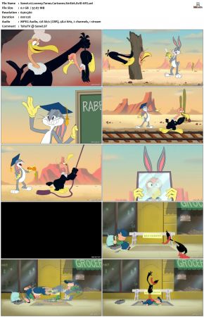 Looney Tunes Cartoons S01 REPACK XviD-AFG