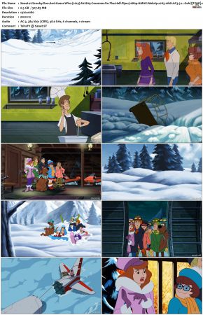 Scooby-Doo And Guess Who S02 1080p WEBRip x265 10bit Goki TAoE