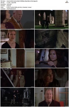 Relic Hunter S03 1080p WEBRip DDP2.0 H265-d3g