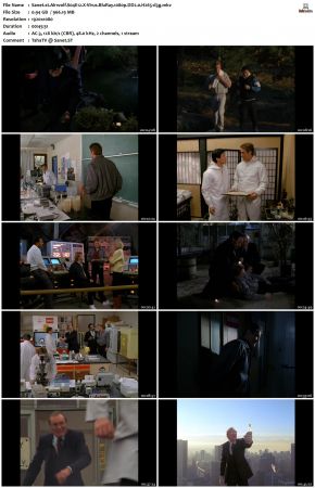Airwolf S04 1080p BluRay DD2.0 H265-d3g