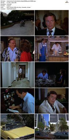 Hart To Hart S02 1080p WEBRip x265-RARBG