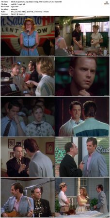 Quantum Leap S05 1080p WEB-DL DD2 0 H264-Mooi