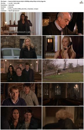 Relic Hunter S03 1080p WEBRip DDP2.0 H265-d3g
