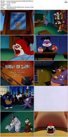 Animaniacs 1993 S01 DVDRip XviD-SAiNTS