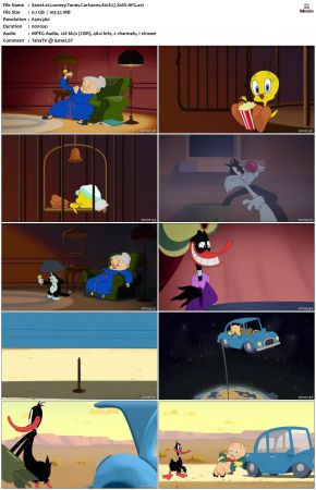 Looney Tunes Cartoons S01 REPACK XviD-AFG