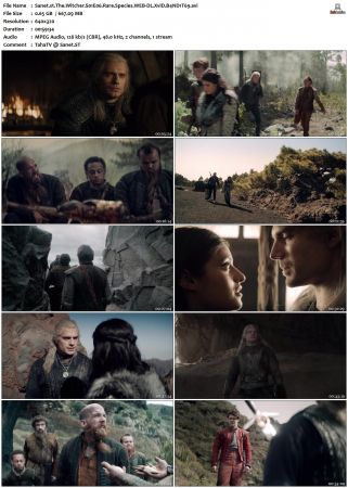 The Witcher S01 WEB-DL XviD B4ND1T69