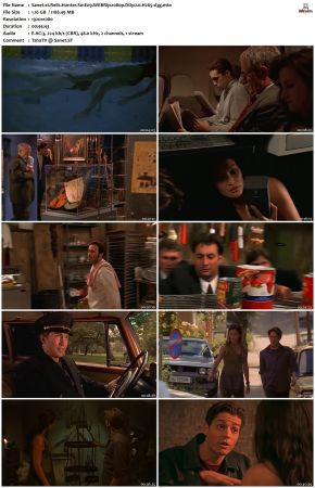 Relic Hunter S01 1080p WEBRip DDP2.0 H265-d3g