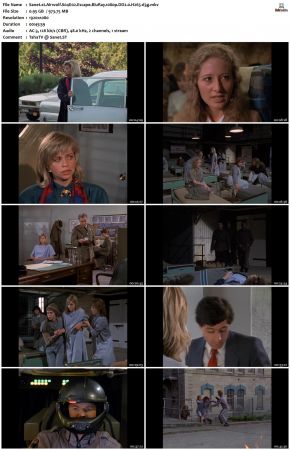 Airwolf S04 1080p BluRay DD2.0 H265-d3g