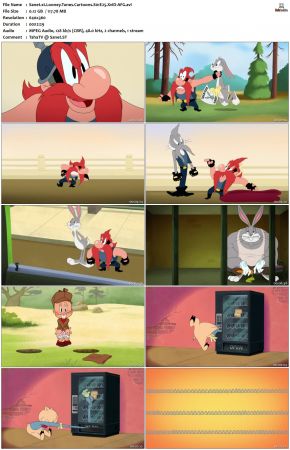 Looney Tunes Cartoons S01 REPACK XviD-AFG