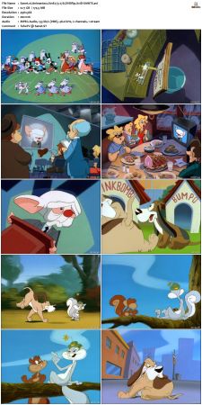 Animaniacs 1993 S01 DVDRip XviD-SAiNTS